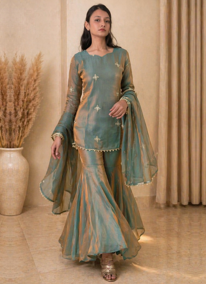 Fendi Silk Pista Green Zari Embroidered Salwar Kameez Set