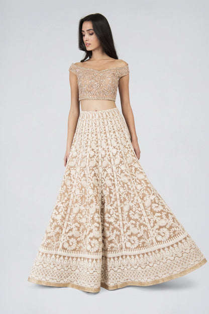 Demanding Net Fabric Chiku Color Party wear Lehenga choli