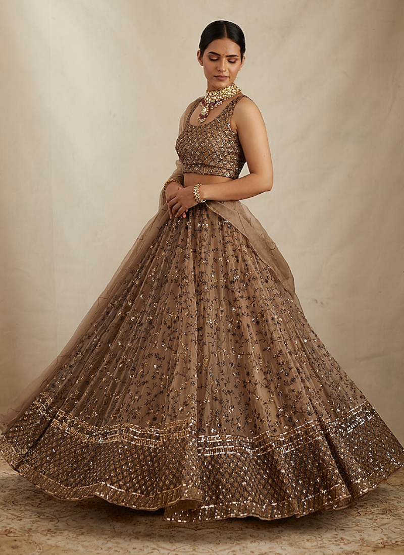 Soft Net Sequence Zari Embroidery Work Brown Lehenga