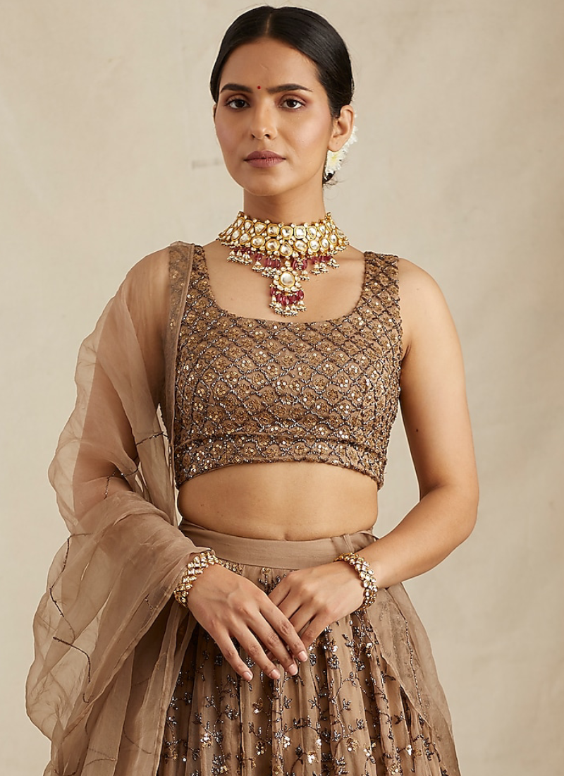 Soft Net Sequence Zari Embroidery Work Brown Lehenga