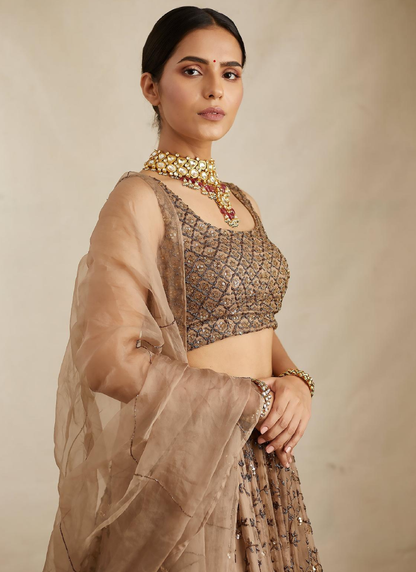 Soft Net Sequence Zari Embroidery Work Brown Lehenga