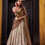 Beige-Brown Silk Zari Weaving Work Lehenga Choli