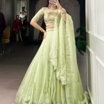 Pista Allen Crush Plain work Lehenga, Blouse and Dupatta set