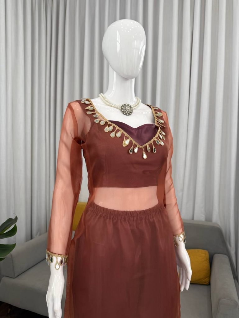 Light Brown organza silk thread with mirror work top-pant and blouse set