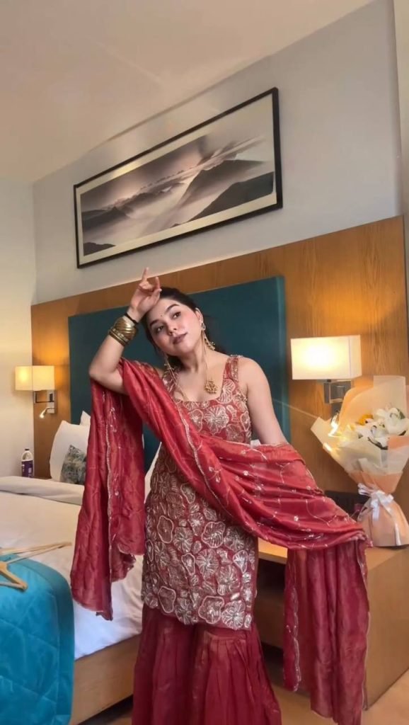 Red simmer silk thread with sequence top, sharara and dupatta set
