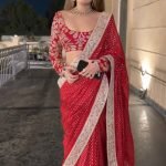 Women's Georgette Work Embroidered Saree