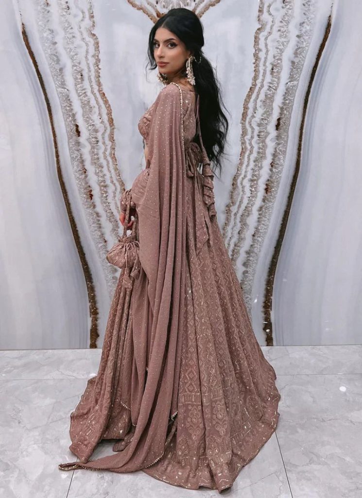 Georgette Lucknowi Sequence Work Brown Lehenga Choli