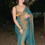 Teal Green Shaded Heavy Lace Border Silk Saree For Reception