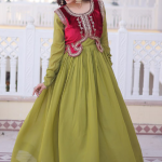 Chanderi Silk Parrot Green Plain Gown With Embroidered Jacket