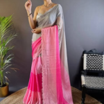 Zarocan Stone Cut Work Border Saree