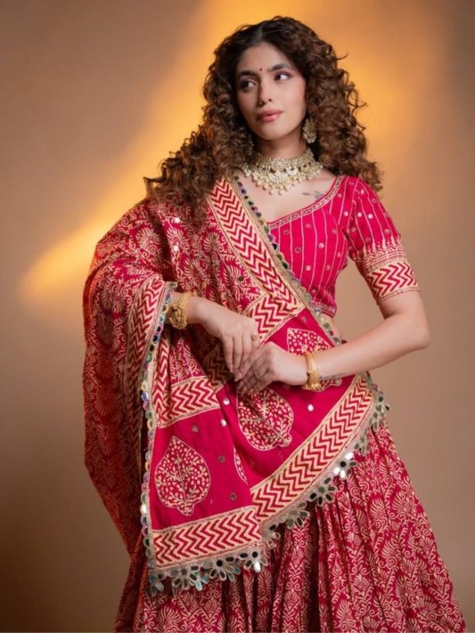 Navratri Bhadhani type chaniya choli – view 6