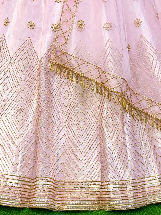 Anushka Sharma Collection Designer Lehenga Choli
