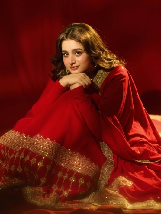 Ayesha Khan Anarkali Dress in Red Vichitra Silk Embroidery for Party